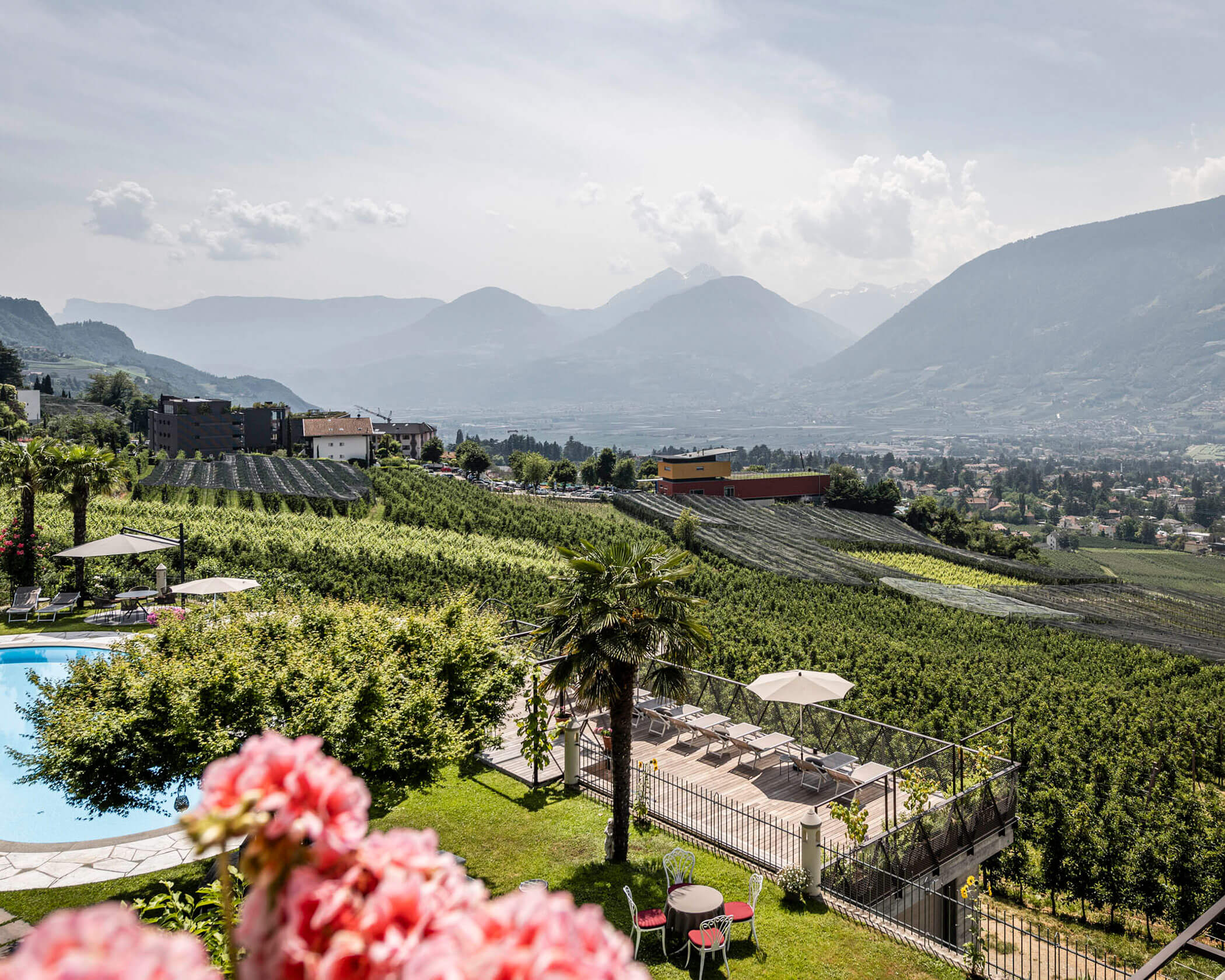 Mountain valley with vineyards, a pool, sun loungers, palm trees, and pink flowers in the foreground. - Hotel Lagrein