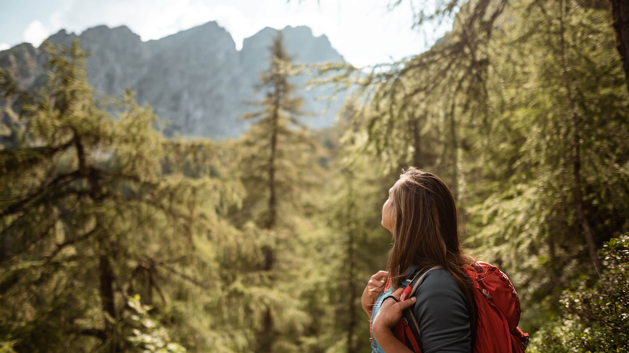 A woman with a red backpack looks up at tall trees and distant mountains in a forest. - Hotel Lagrein