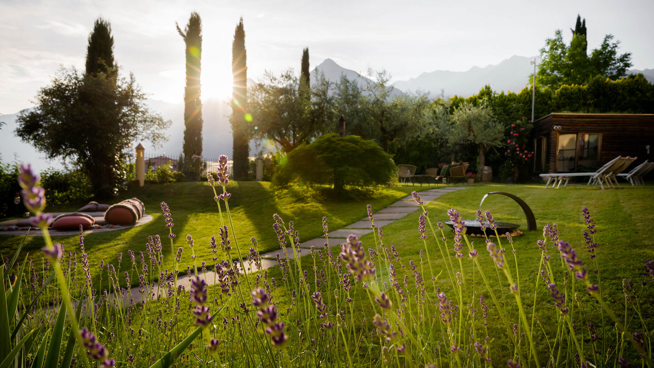 Lavender in the foreground, garden paths, trees, and sun shining through mountains in the background. - Hotel Lagrein