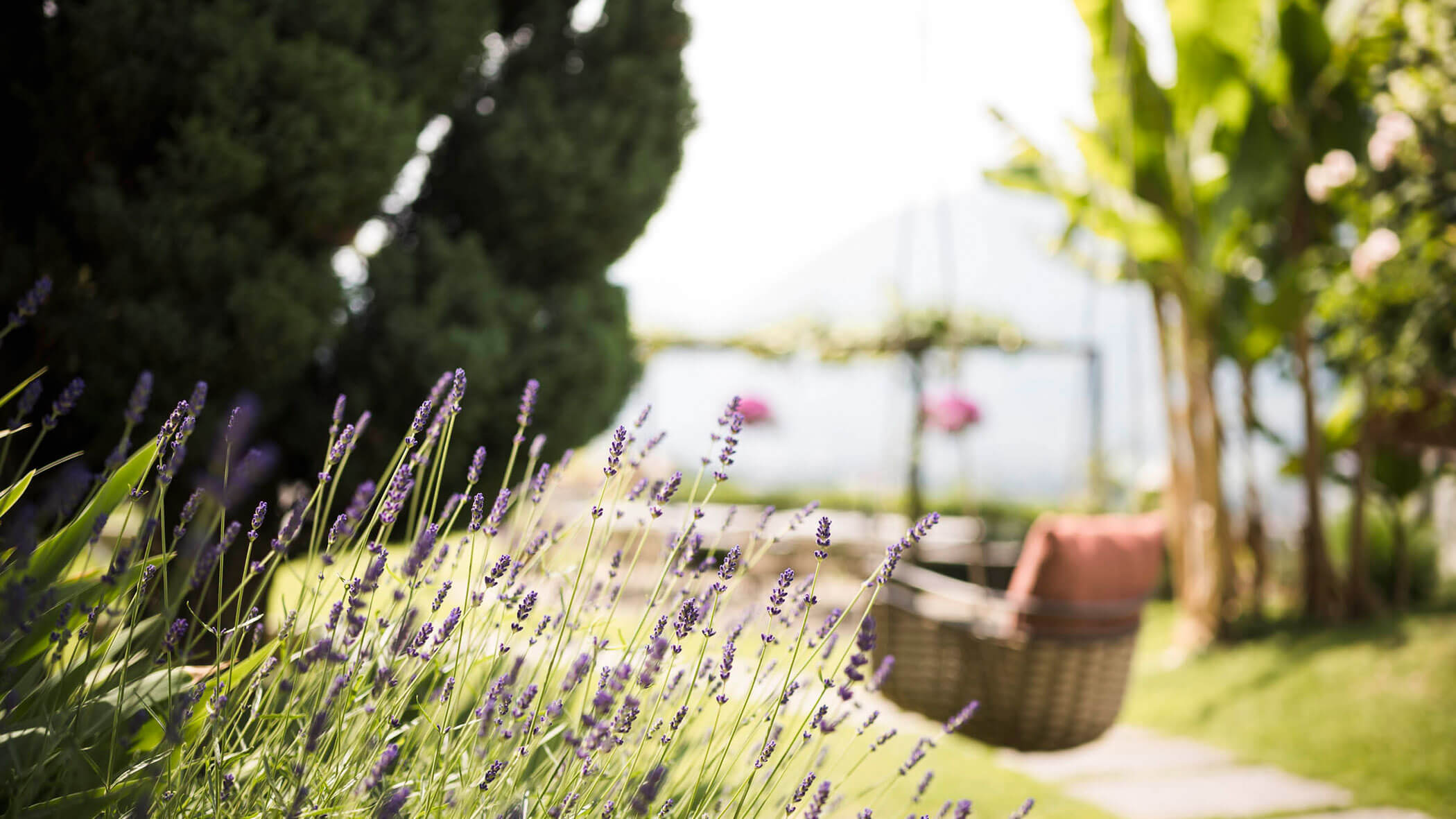 Lavender flowers in focus with a blurred garden, trees, and a hanging chair in the background. - Hotel Lagrein