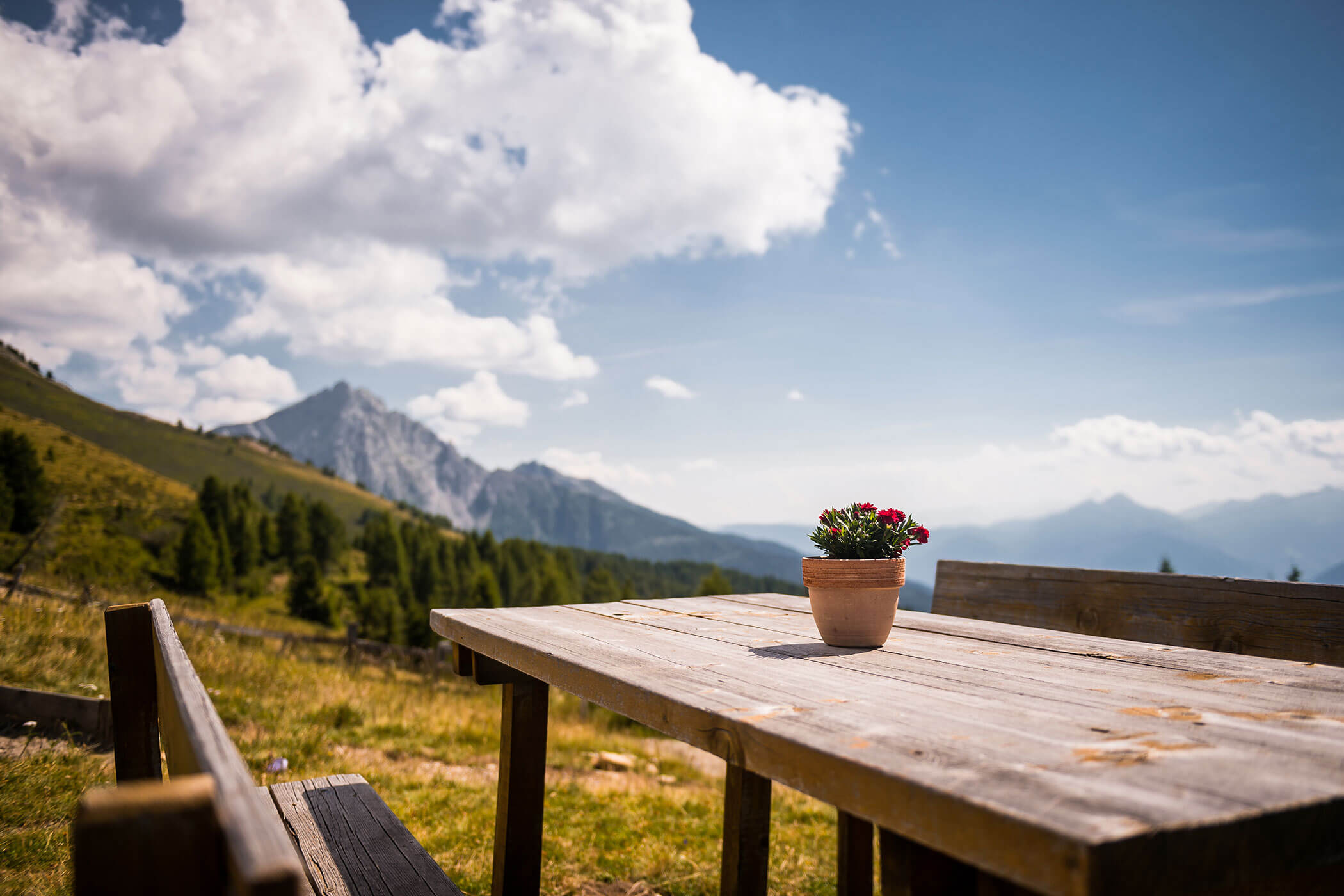 A wooden table with a potted flower overlooks mountains under a blue sky with scattered clouds. - Hotel Lagrein