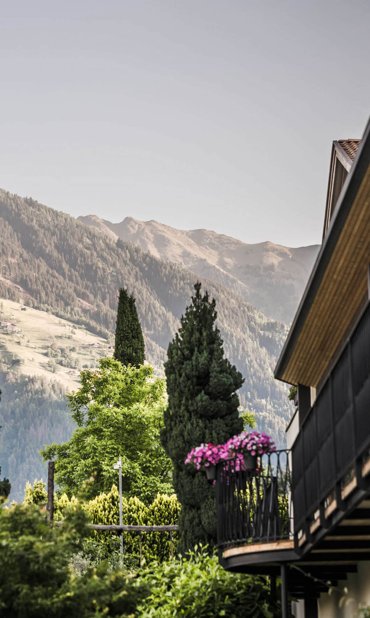 A balcony with pink flowers overlooks green trees and sunlit mountains under a clear sky. - Hotel Lagrein