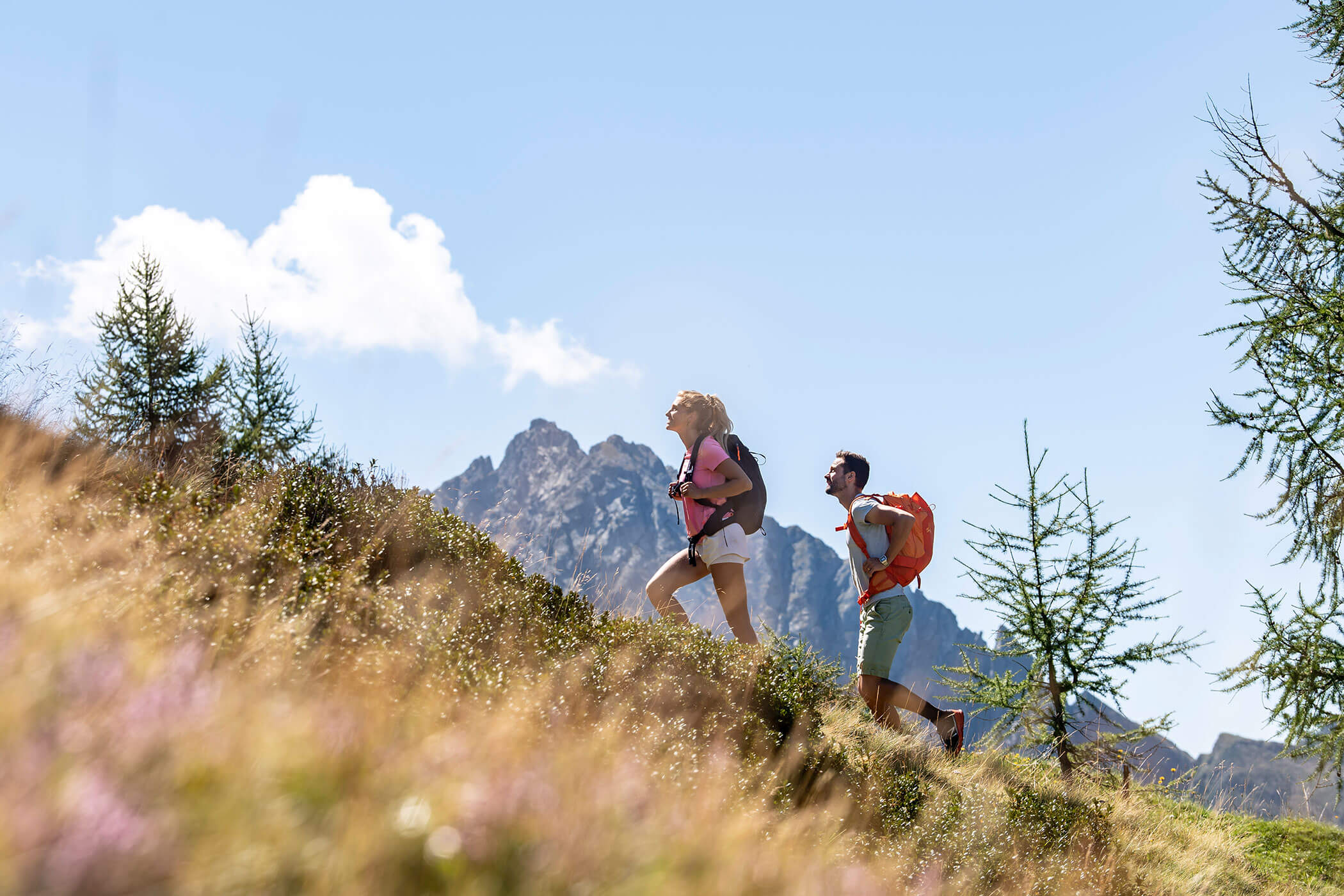 Two people with backpacks hike up a grassy hill with mountains and trees in the background under a blue sky. - Hotel Lagrein